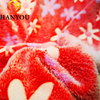 Red Starfish Flower Pattern Flannel Coral Fleece Plush Minky Luminous Fabric Glow In The Dark Fleece Fabric